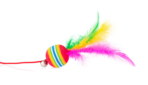 Multi Colored ball with feather for cat toy isolated on a white background