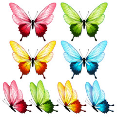 Beautiful butterfly collection, four colors