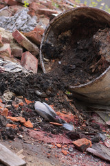  Dead bird collared dove lying in front of a barrel of  toxic chemical waste.