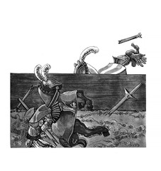 Knights tournament