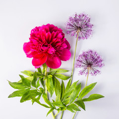 Obraz premium Spring flowers on a gray background - creative picture with space for text
