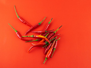 Obraz premium Red chili pepper on red background