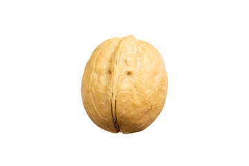 Walnut close-up isolate. The texture of the walnut in the shell. Walnut isolated on white background. With clipping path