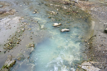 Geothermal craters in the forest in the Waiotapu area of the Taupo Volcanic Zone in New Zealand