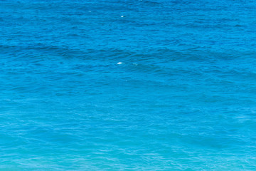 Obraz premium Blue sea