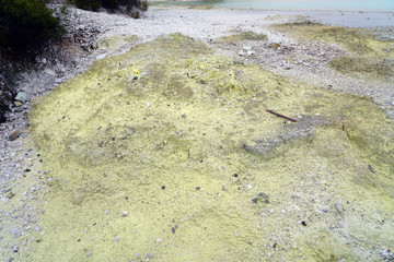 Geothermal craters in the forest in the Waiotapu area of the Taupo Volcanic Zone in New Zealand
