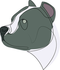 Continuous line Pit Bull. Single line minimal style Pitbull dog vector illustration. Portrait