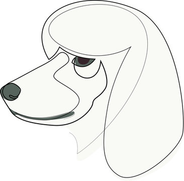 Continuous line Poodle. Single line minimal style dog vector illustration. Portrait