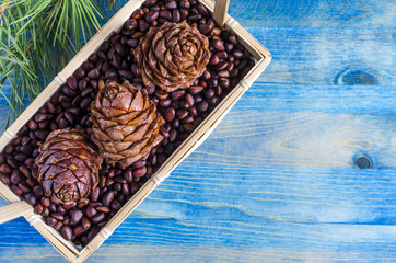 pine nuts and pine cones in basket on blue background