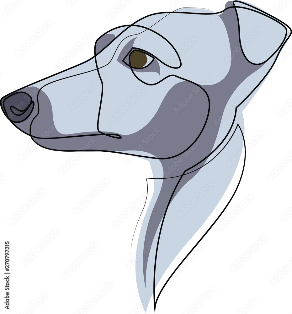 Poster continuous line whippet. single line minimal style english whippet or snap dog vector illustration. 