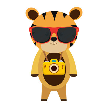 cute tiger with summer sunglasses and photographic camera