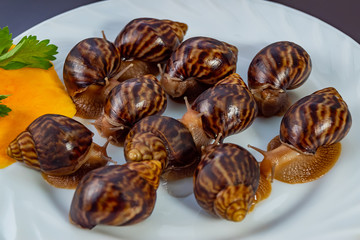grape snails, akhatina, on a plate, as crude food, a rawism