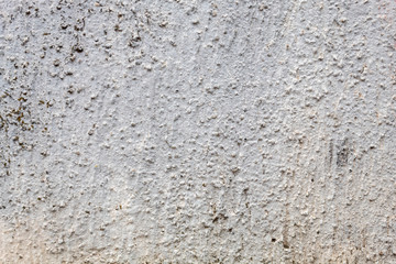 Grayish Old Weathered Concrete Wall Texture