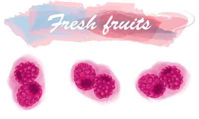 Eco food menu background. Watercolor hand drawn fruits. Vector illustration