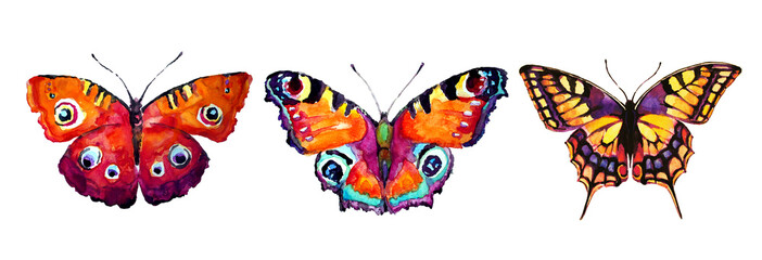 beautiful orange butterflies, watercolor ,isolated  on a white