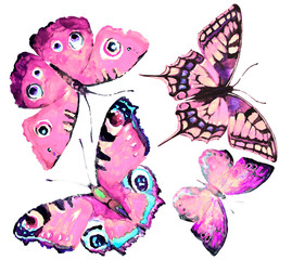 beautiful pink butterflies, isolated  on a white
