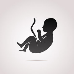 Obraz premium Embryo, pregnancy vector icon. 