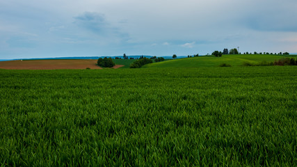 Rural landscape with green field and blue sky in Neudenau, Germany