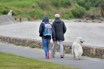 Un couple qui se promène avec un beau chien blanc