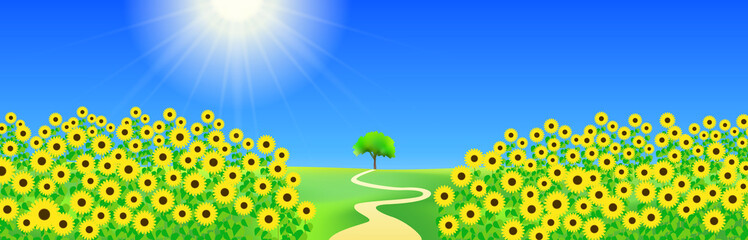 夏、太陽光輝く青い空とひまわりの花の地平線　一本の道　一本のカシの木
