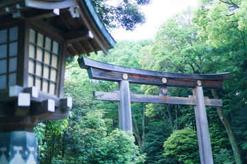 Fototapeta na wymiar Entrance gate of a Japanese temple in Harajuku