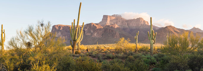 A panorama image of the Superstition Mountains in Arizona in the morning light.  The image contains saguaro cactus and dramatic clouds on the peaks. - obrazy, fototapety, plakaty