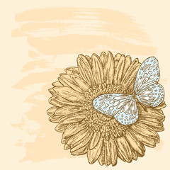 Vector illustration of a butterfly sitting on a sunflower