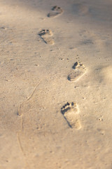 Texture background Footprints of human feet on the sand.