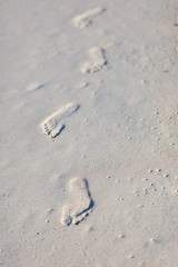 Fototapeta na wymiar Texture background Footprints of human feet on the sand.