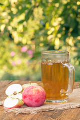 Picked apples and apple cider in glass goblet on wooden boards