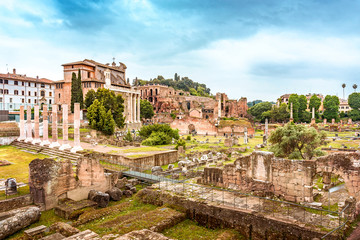 Naklejka na ściany i meble Forum Romanum in Rome, Italy