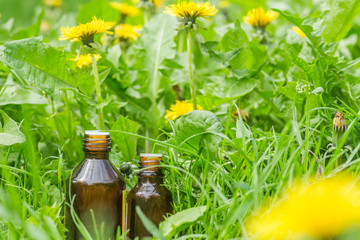 pharmaceutical bottle of medicine in grass against background of blooming yellow flower Taraxacum officinale, or dandelions . Preparation of medicinal plants. Ready potion of grass.