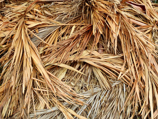 pile of dry palm leaf