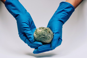 Spoiled pomegranate with mold in female hands in blue gloves on a white background. Ecological...
