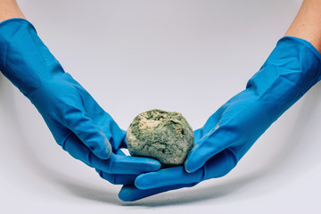 Spoiled pomegranate with mold in female hands in blue gloves on a white background. Ecological...