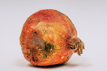The texture of mold on a spoiled pomegranate. Pomegranate with mold on a white background. Spores...