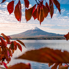 Mount Fuji and Lake Kawaguchiko in Autumn Leaves