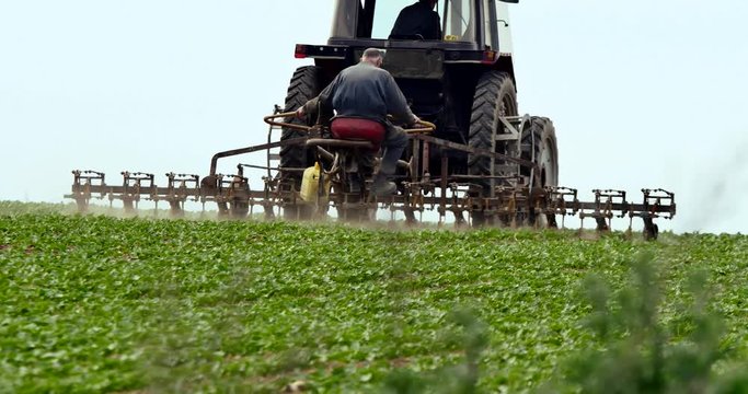 agriculteurs au travail dans les champs