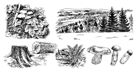 Rural landscape. Hand drawn set - 270810408
