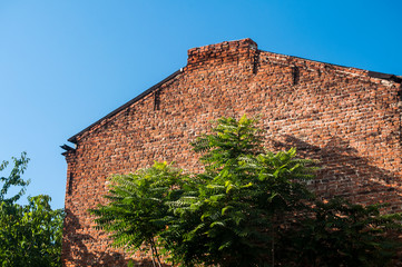 Old vintage town house side red brick wall and green tree on blue sky background