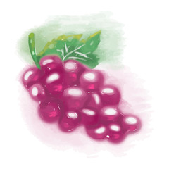 Eco food menu background. Watercolor hand drawn fruits. Vector illustration