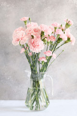 gentle pink carnation flowers in vase on grey background 