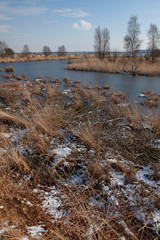 Winter in the moors of Fochteloerveen. National Park Drents Friese Woud Netherlands