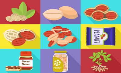 Peanut icons set. Flat set of peanut vector icons for web design