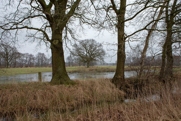 De Klencke estate Oosterhesselen drente Netherlands