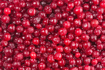 bright red frozen lingonberries in a pie dough