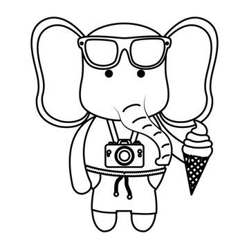 elephant with photographic camera and ice cream