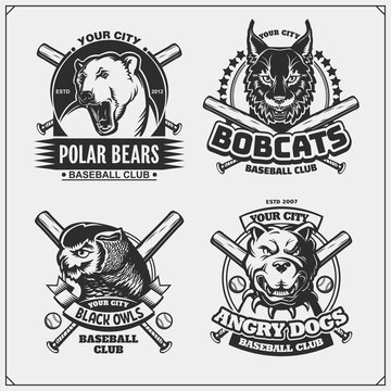 Set of baseball emblems, badges, logos and labels with pitbull, owl, bobcat and polar bear. Print design for t-shirt.