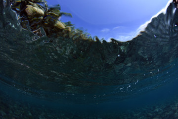 Underwater background. Clear blue ocean. Half water, split. Diving, snorkeling, swimming. Tulamben, Bali, Indonesia.