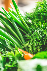 Fresh green herbs - close up